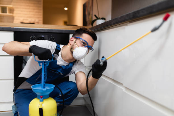 Best Exterminator Services  in Shasta Lake, CA