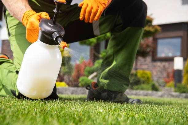 Pest Control for Restaurants in Shasta Lake, CA
