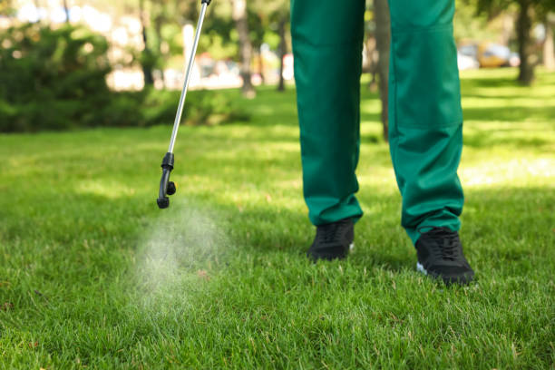 Trusted Shasta Lake, CA Pest Control Experts