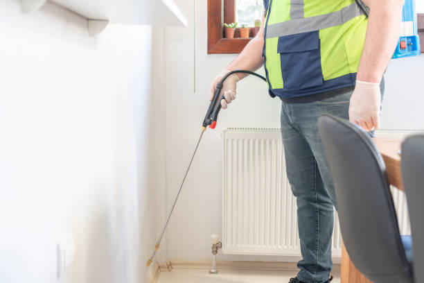 Best Wasp Removal Services  in Shasta Lake, CA