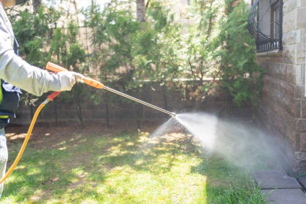 Best Emergency Pest Control  in Shasta Lake, CA