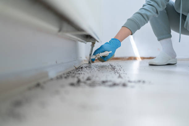 Pest Prevention Services in Shasta Lake, CA